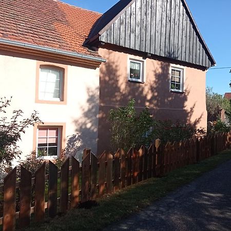 Roze I Jablonie Agroturystyka Gryfów Śląski Eksteriør bilde