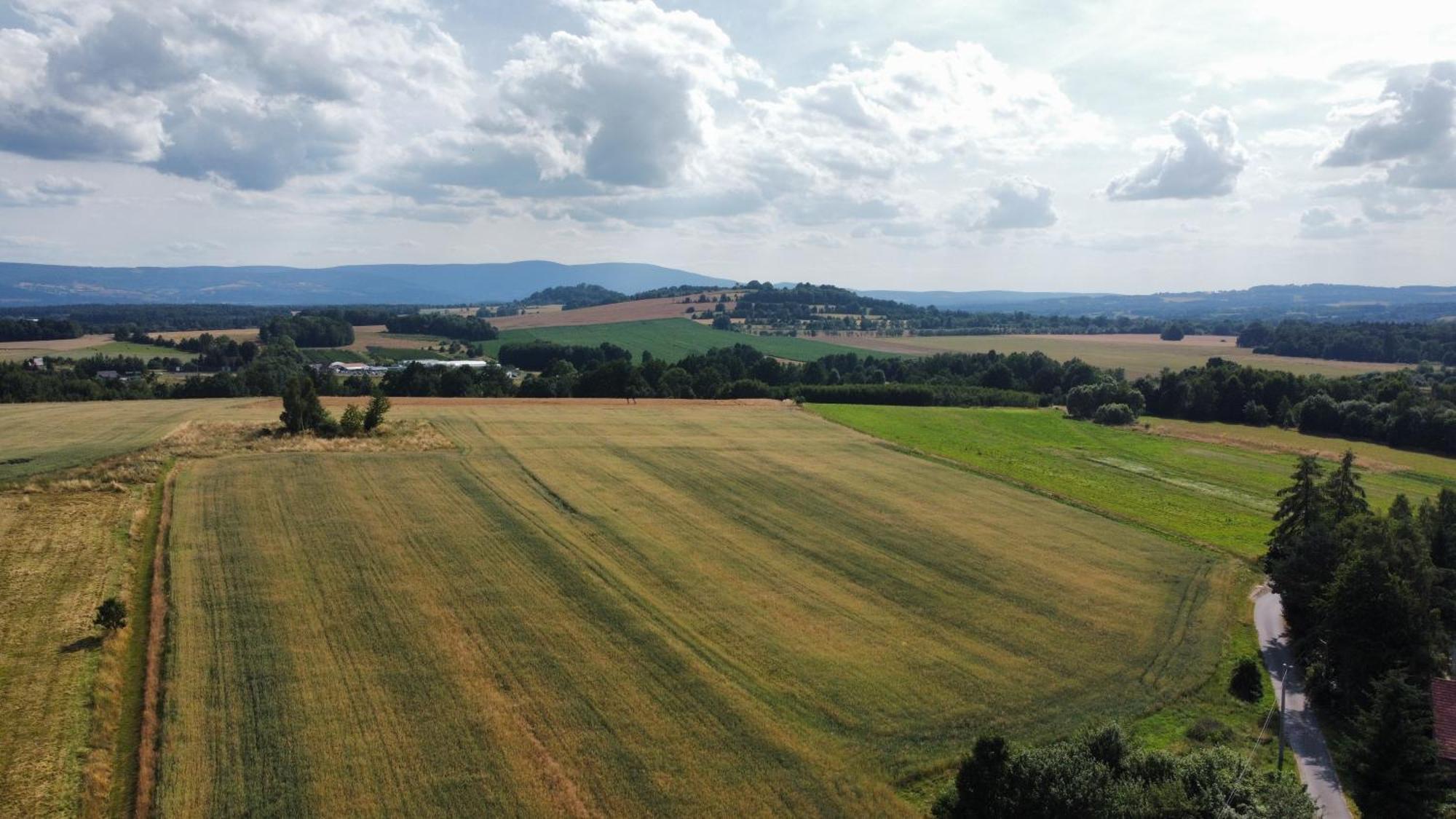 Roze I Jablonie Agroturystyka Gryfów Śląski Eksteriør bilde