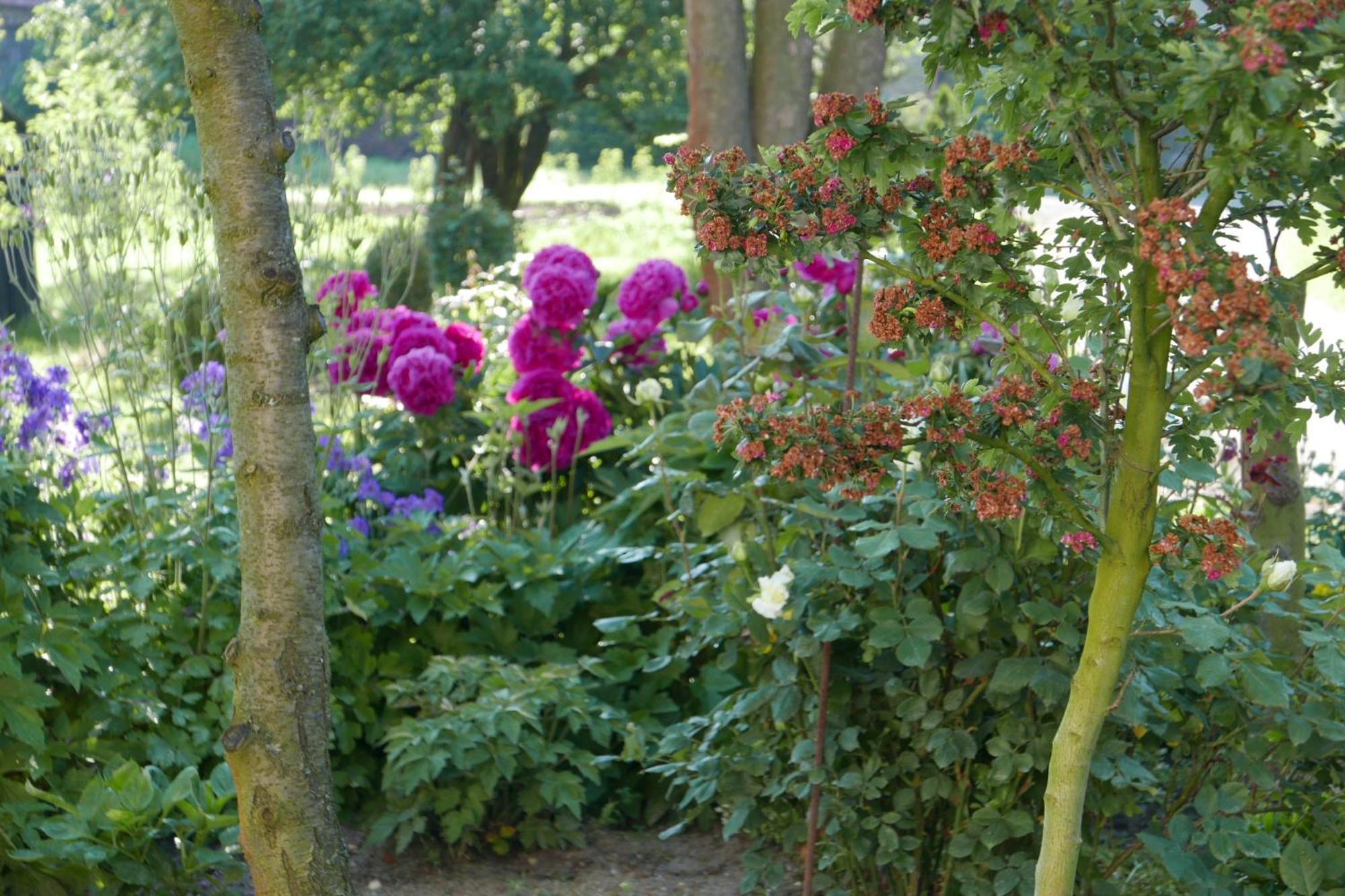 Roze I Jablonie Agroturystyka Gryfów Śląski Eksteriør bilde