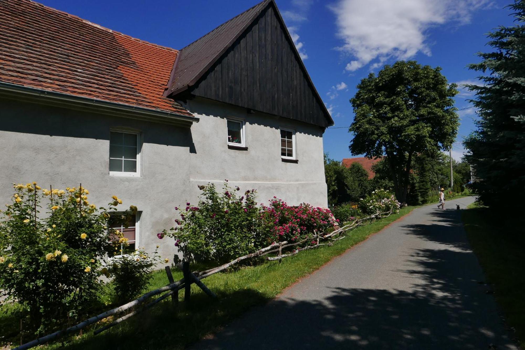 Roze I Jablonie Agroturystyka Gryfów Śląski Eksteriør bilde