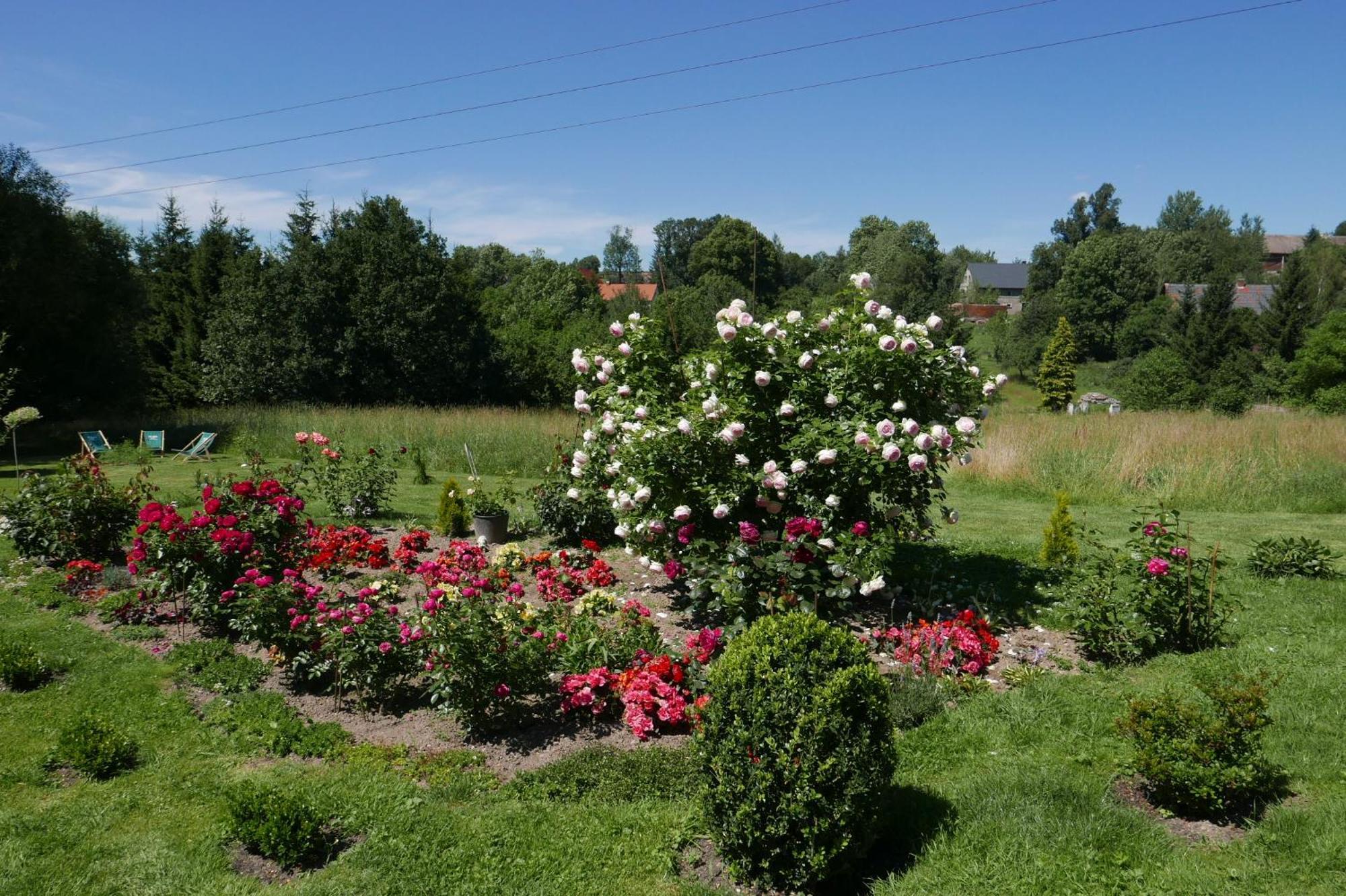Roze I Jablonie Agroturystyka Gryfów Śląski Eksteriør bilde